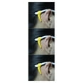 thumbnail image 2 of Guardurnaity 2 pares de anteojos con punta antideslizante, agarres para las orejas, gancho de silicona para las orejas, gafas cómodas, Kit de soporte para Type1 NO1 Guardurnaity CBP007464, 2 of 6