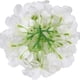 thumbnail image 5 of Xiao Hua Hortensia de seda artificial con tallo para decoración del hogar y bodas, paquete de 10 (champán), 5 of 5