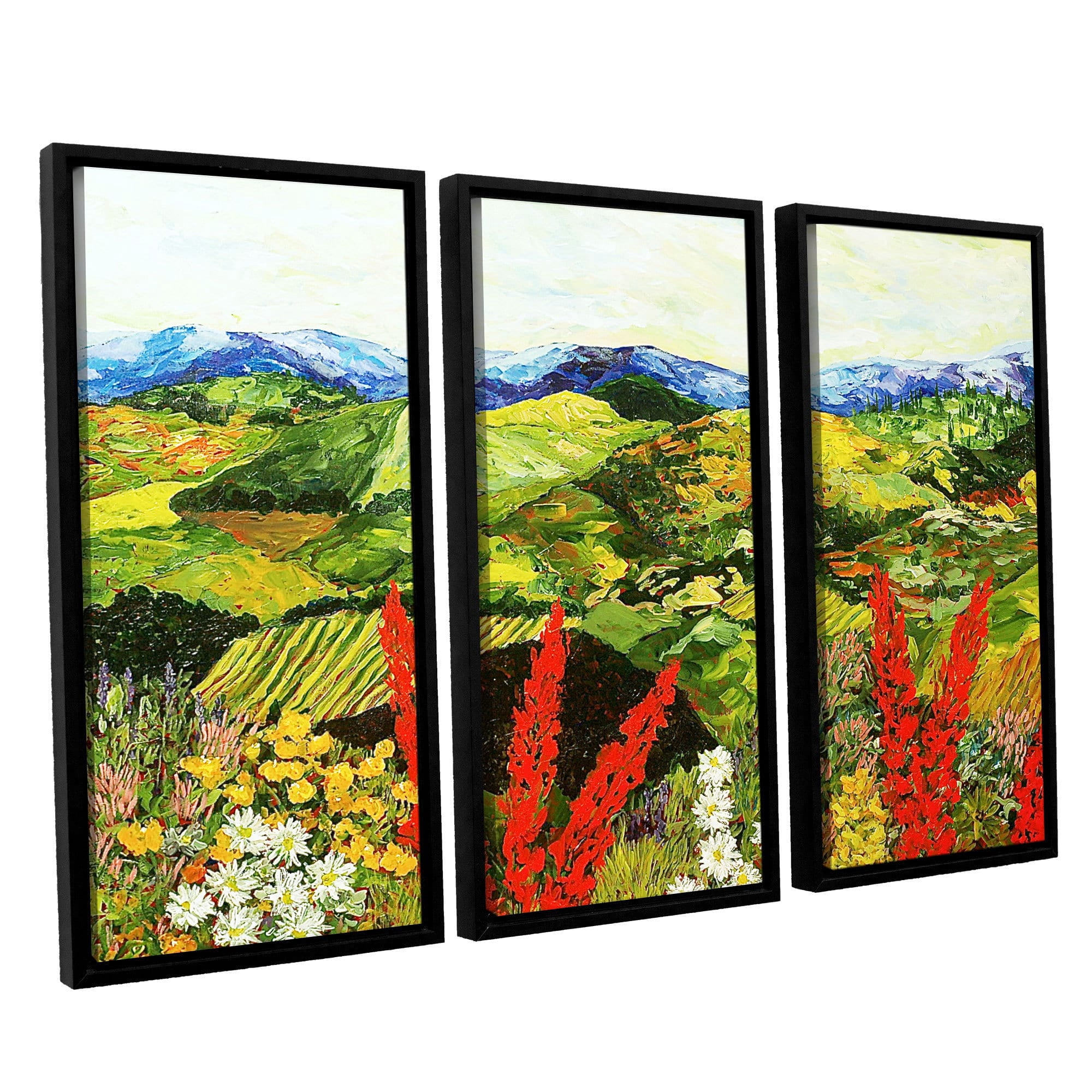 ArtWall Allan Friedlander "One More Step" 3-Piece Floater-framed Canvas Set
