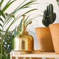 thumbnail image 4 of BRASS PLANT MISTER: Indoor Plant Mister, Terrarium Mister, Orchid Spritzer, Succulent Mister, Nickel Spray Bottle Mister, Plant Sprayer Mister | A Beautiful and Useful Houseplant Accessory, 4 of 4