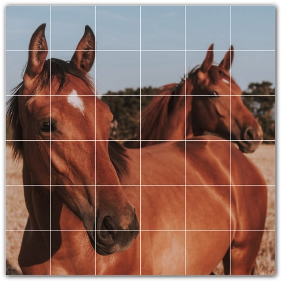 Picture-Tiles.com: Horse Ceramic Tile Wall Mural WAL500756-66S. 25.5"W x 25.5"H using (36) 4.25" x 4.25" Ceramic Tiles-Satin Finish