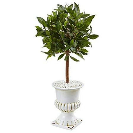 https://i5.walmartimages.com/asr/a8403451-ce39-44e9-96c7-0578e9177286.9cee22f8337338a908f47a8876ba0b09.jpeg?odnHeight=450&odnWidth=450&odnBg=ffffff
