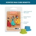 thumbnail image 3 of Las Damas (The Ladies) Scented Wax Melts, ScentSationals, 2.5 oz (1-Pack), 3 of 11