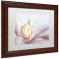 thumbnail image 2 of Trademark Fine Art 'Soft Magnolia' Canvas Art by Pierre Leclerc, White Matte, Wood Frame, 2 of 4