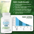 thumbnail image 4 of Liposomal NAD+ Resveratrol Supplement – 1500mg NAD+ & 300mg 98% Trans-Resveratrol – 60-Day Supply – Advanced NAD+ Complex for Cellular Energy & Healthy Aging Support, 4 of 9