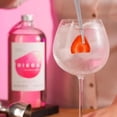 thumbnail image 3 of Paquete de 3 Ginebra Diega Rosita 950 ml, 3 of 3