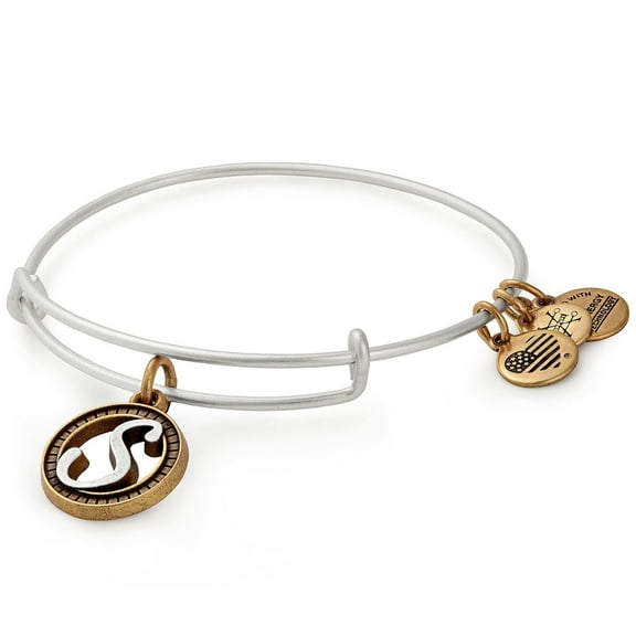 Alex and Ani Initial S Two-Tone Charm Bangle Bracelet - Rafaelian Gold and Silver Finish - A18EBINT19TTRS