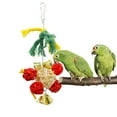 thumbnail image 5 of Gymnture Parrot Bells Chew Toys Bird Cage Swing Accessories, 5 of 10