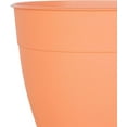 thumbnail image 2 of Bloem Dayton 16” x 16” x 14.5” Round Coral Plastic Planter with Removable Saucer, 2 of 7