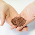 thumbnail image 4 of MasteelfCA 2pcs Walnut Massage Balls Handball Training Wild Walnut Health Ball Playthings, 4 of 8