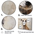 thumbnail image 3 of Designart "Portrait Of A Cute Meercat III" Meercat Floater Framed Canvas Art Print, 3 of 5