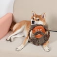 thumbnail image 5 of Star Wars Ewok Plush Rope Frisbee Toy, 5 of 5