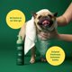 thumbnail image 2 of Champú para perros y cachorros Earth Rated No-Rinse, 200 ml, té blanco y albahaca, 2 of 8