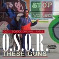 thumbnail image 1 of These Guns, 1 of 1