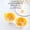 As shown-Free Size/B, variant on Microwave Egg Poacher 2 Egg Capacity Non Stick Poached Egg Cooker Dishwasher Safe Breakfast Kitchen Gadget for Benedict Egg Florentine Quick Morning Meals Breakfast Prep Kitchen Use Morning Meals