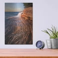 thumbnail image 4 of Luxe Metal Art 'Pictured Rocks Michigan I' by Alan Majchrowicz,Metal Wall Art, 12"x16", 4 of 7