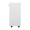 thumbnail image 4 of RST Brands Armoire de Barre de Placage Lindon MDF en Placage Blanc, 4 of 6