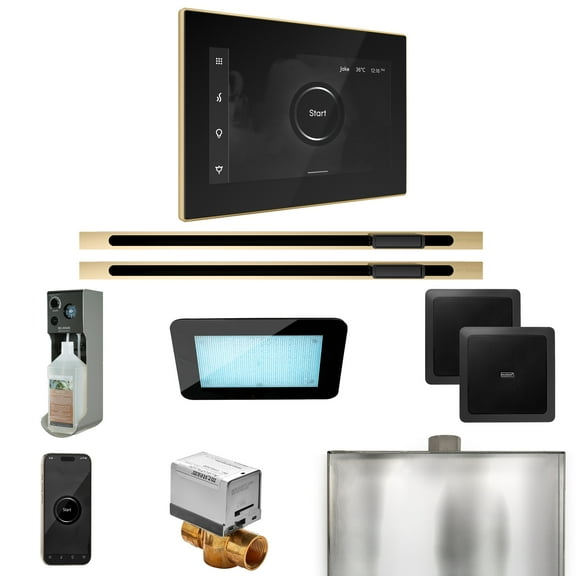 Mr Steam XDream Max Steam Shower Pkg w/iSteamX Control and Linear Steamhead in Black Polished Brass