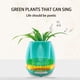 thumbnail image 5 of Maceta con música, maceta con música inteligente, maceta suculenta de plástico, soporte para plantas para decoración del hogar y la Oficina, regalo, 5 of 5