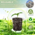 thumbnail image 4 of Clear Nursery Pots for Easy Monitoring & Transplanting - Sturdy & Reusable!, 4 of 10
