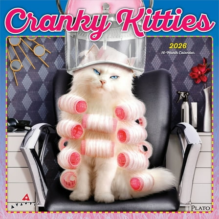 Avanti Cranky Kitties OFFICIAL | 2026 12x24" (Hanging) Wall Calendar | Plato
