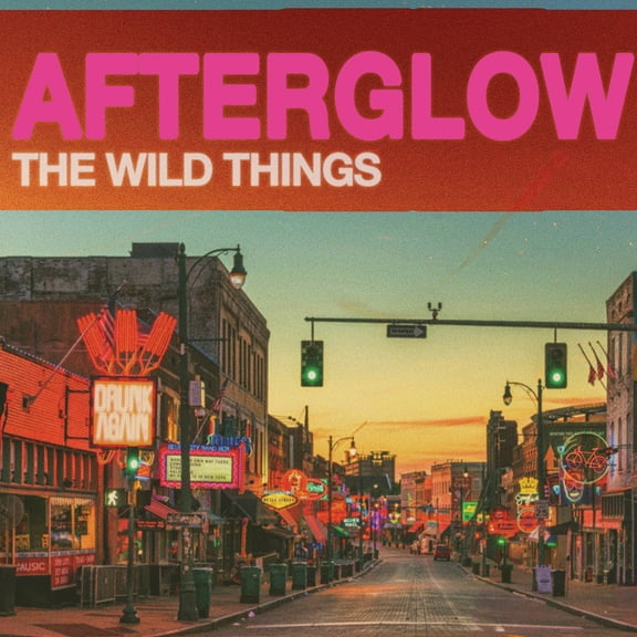 The Wild Things - Afterglow - Music & Performance - CD