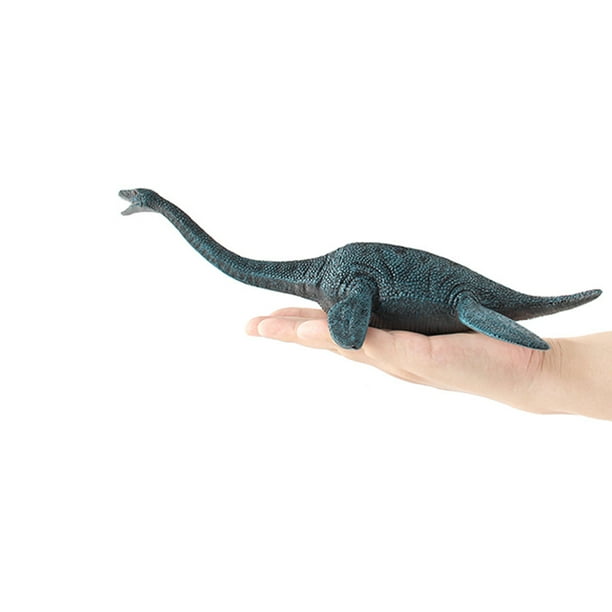 Biologique Éducatif En Plastique Simulé Plésiosaurus Dinosaure Modèle  Enfants Enfants Jouet Cadeau, jouets pour bébés, jouets pour 2 ans, jouets  pour enfants 