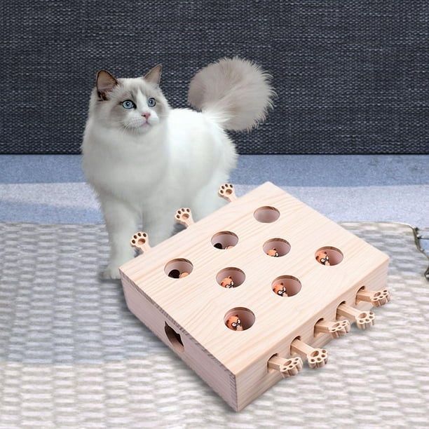 Box cat clearance toy