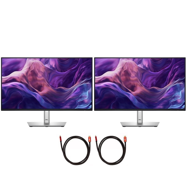 Monitor Dell P2425H 24 Full HD 1080p 16:9 Dual LED negro/plateado
