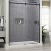 Delta Commix Shower Door