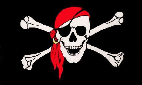 LARGE 5FT X 3FT KIDS PIRATE FLAG BOYS GIRLS PIRATES SKULL PINK PARTY DECORATION 