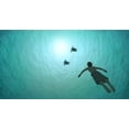 thumbnail image 5 of The Red Turtle (DVD Sony Pictures), 5 of 5