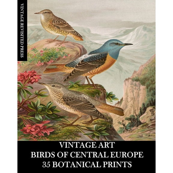 Vintage Art: Birds of Central Europe: 35 Botanical Prints, (Paperback)