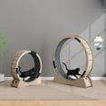 thumbnail image 4 of SURJDE Grande Roue d'Exercice pour Chat, Diamètre Extérieur 120 cm, Roue pour Chat avec Verrou de Sécurité et Tapis à Griffer Remplaçable, Rouleau Silencieux, Roue de Course pour Chat, Convient à la Perte de Poids d'Un Chat d'Intérieur, 4 of 7