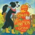 thumbnail image 1 of How to Help a Pumpkin Grow, 1 of 3