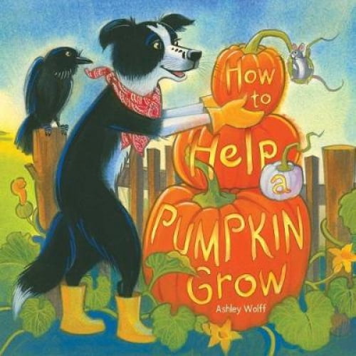 How to Help a Pumpkin Grow