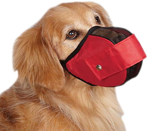 muzzle for dogs