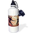 thumbnail image 2 of 3dRose, Details of painted models of ancient Greek amphora, 21 oz Sports Water Bottle, 2 of 2