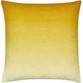 thumbnail image 5 of Hauteloom Rohit Throw Pillow, 5 of 5