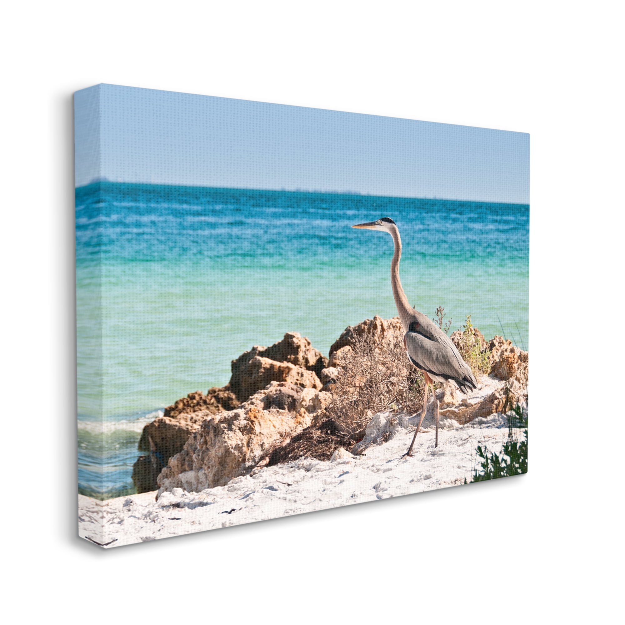 Stupell Industries Heron Watching Ocean Animals & Insects Photography Gallery Wrapped Canvas Art Print Wall Art, 48 x 36