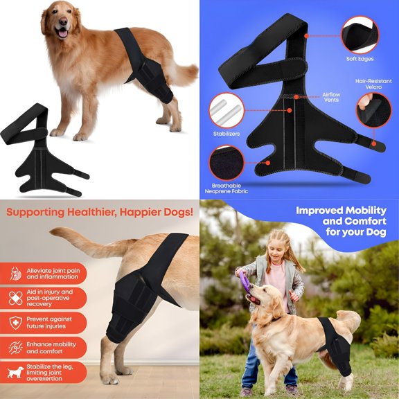 XIRQI Dog Knee Brace for Torn ACL Hip Dysplasia Arthritis Pain Relief Osteoarthritis and Ligament Injuries Adjustable Neoprene Support for Front or Hind Leg Black (Small)