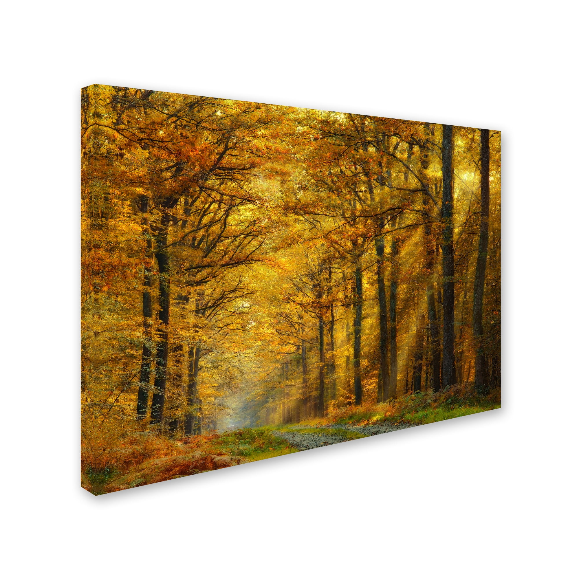Trademark Fine Art 'Enchanted Forest' Canvas Art by Marianna Safronova