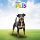 thumbnail image 2 of JUGUETE CUERDA C/ARO DE CAUCHO Fancy Pets CAUCHO, 2 of 2