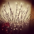 thumbnail image 1 of CNKOO Artificial Branch 20LEDs Light Battery Powered Willow Lighted Garden Home Decor, 1 of 8