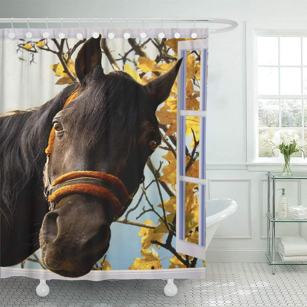 CYNLON Brown Equine Curious Horse Looking Window Pet Friendly Nature