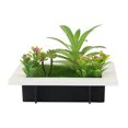 thumbnail image 4 of Plantas de simulación artificial Colgante de pared 3D / Flores de escritorio Eccomum 26, 4 of 7
