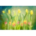thumbnail image 2 of Van Son, Greetje 14x11 Gold Ornate Wood Framed with Double Matting Museum Art Print Titled - Dancing tulips, 2 of 4