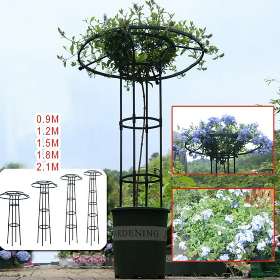 Tall Metal Obelisk Trellis - 70-82 Inch Spiral Design Garden Support for Climbing Vines and Roses