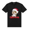 thumbnail image 1 of Gremlins  Adult Father Gizmo T-Shirt, 1 of 2