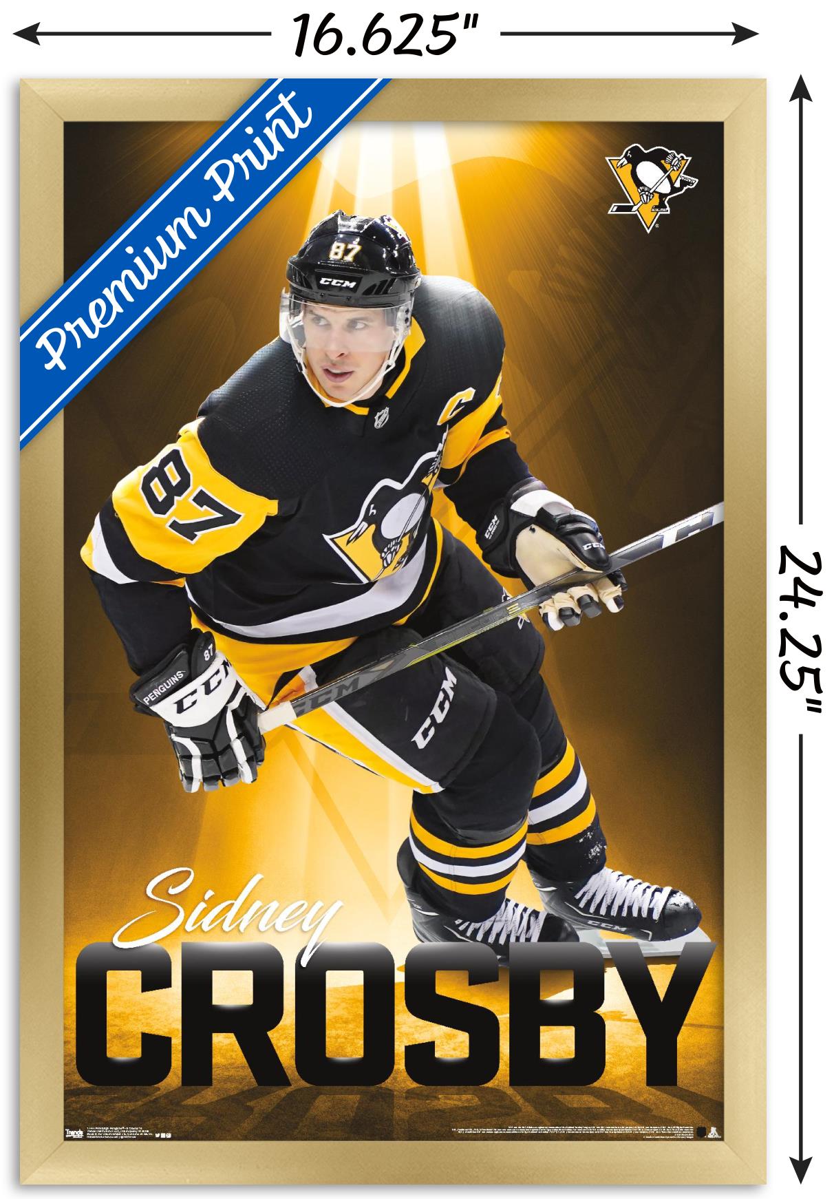 NHL Pittsburgh Penguins - Sidney Crosby 18 Wall Poster, 14.725" x 22.375", Framed